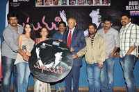 Madhumati Movie Audio Release